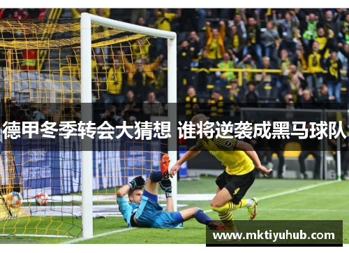 德甲冬季转会大猜想 谁将逆袭成黑马球队