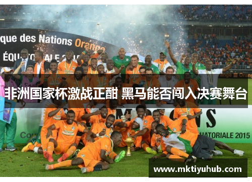 非洲国家杯激战正酣 黑马能否闯入决赛舞台